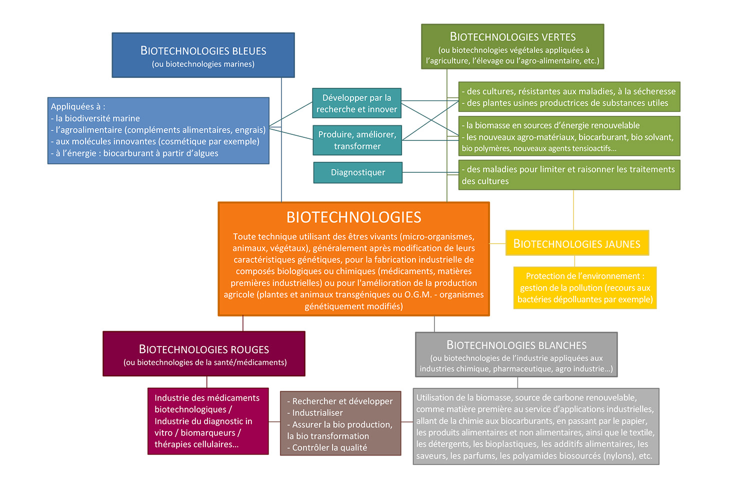 Schéma Biotechnologies