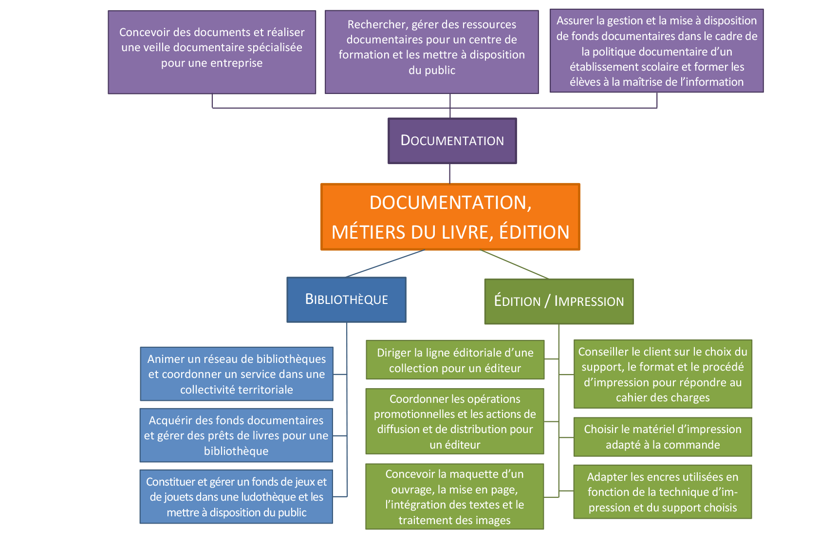 Schéma documentation, métiers du livre, édition