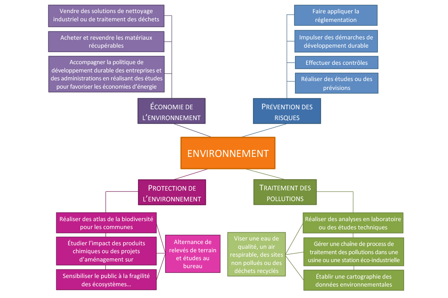 Le secteur environnement  Mon orientation