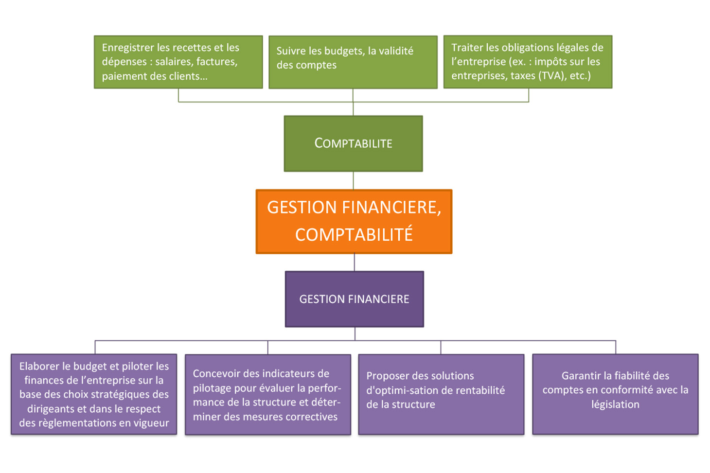 Gestion Financière, Comptabilité - Mon Orientation - Université ...