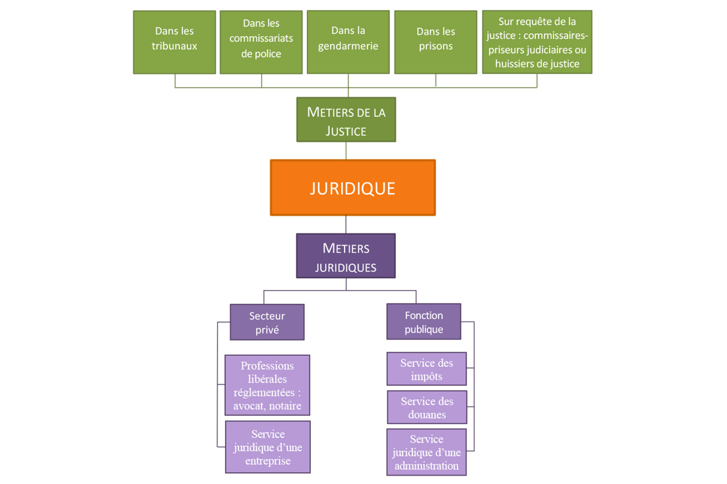 Le secteur Juridique  Mon orientation