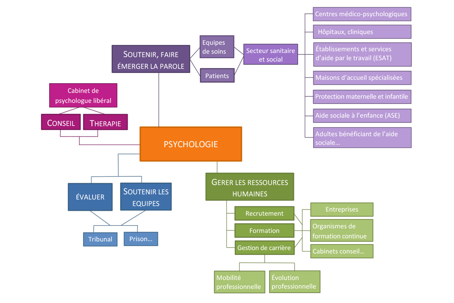 Schéma Psychologie