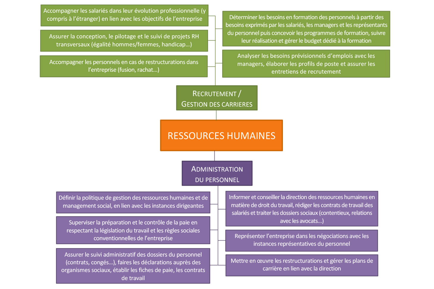Schéma Ressources humaines